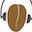 Kaldi Speech Recognition Toolkit logo