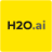 H2O Driverless AI logo