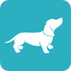 Playposit logo