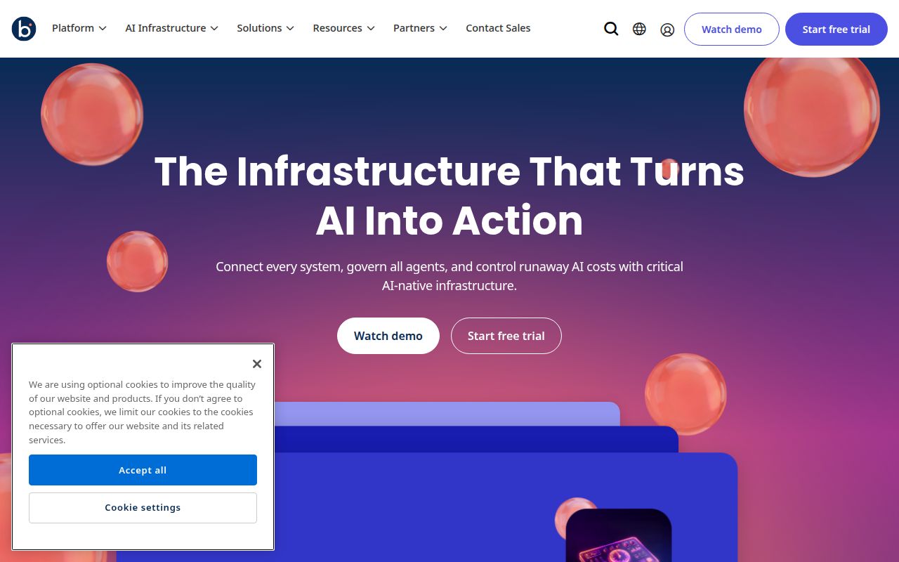 BOOMI homepage screenshot