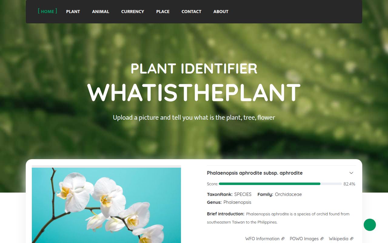 What is the Plant? homepage screenshot