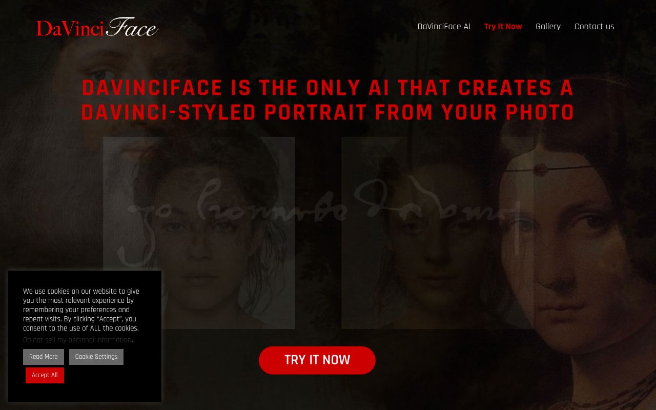 DaVinciFace homepage screenshot