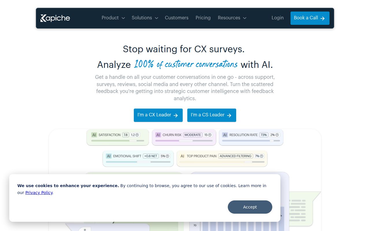Kapiche homepage screenshot