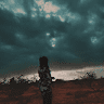 Tehreem Wahid
